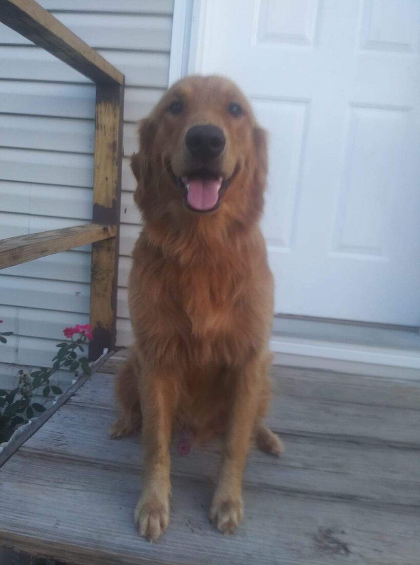 Sir Harley D Q Bacia (Harley)